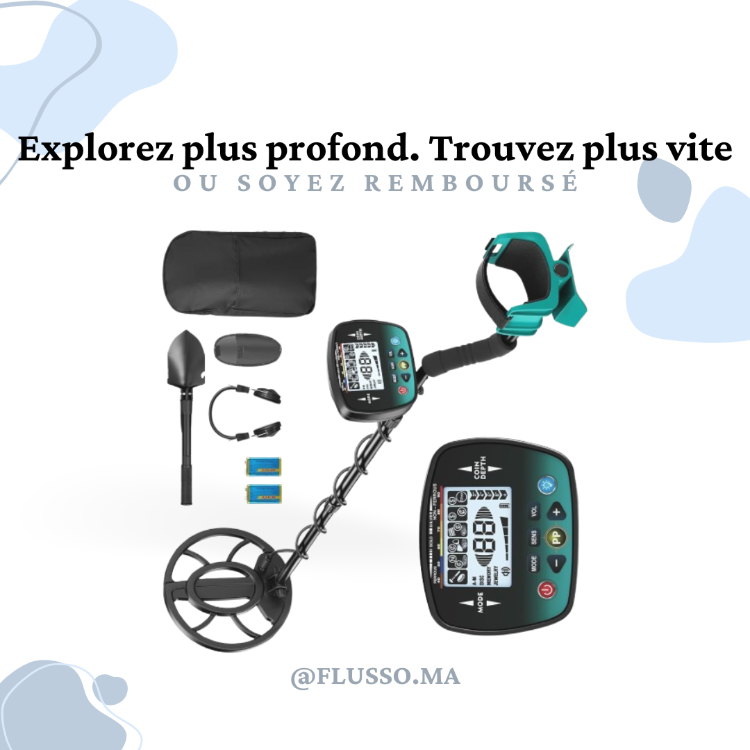Détecteur de Métaux Professionnel
