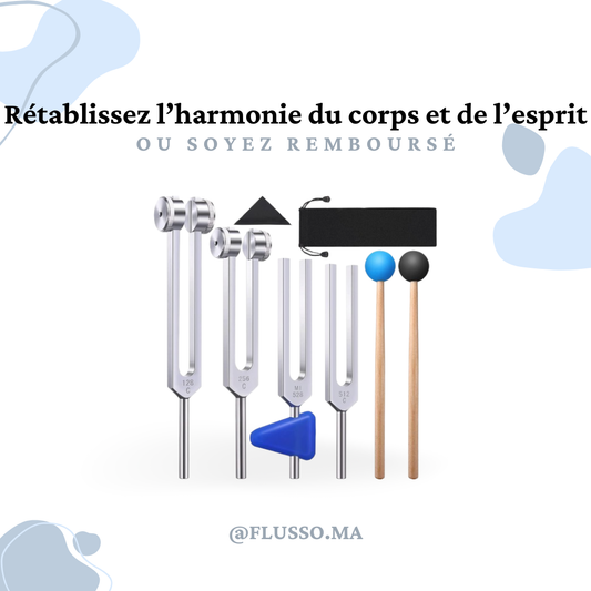 Pyatofly™ – Lot de 4 Diapasons Professionnels (128Hz, 256Hz, 512Hz, 528Hz)