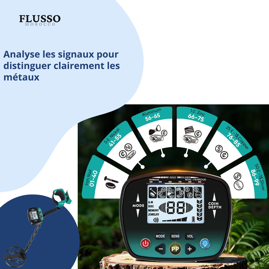 Détecteur de Métaux Professionnel